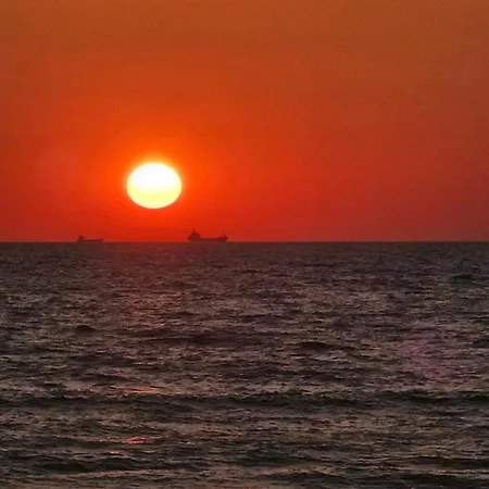Molla Golem Polisi i Vogel