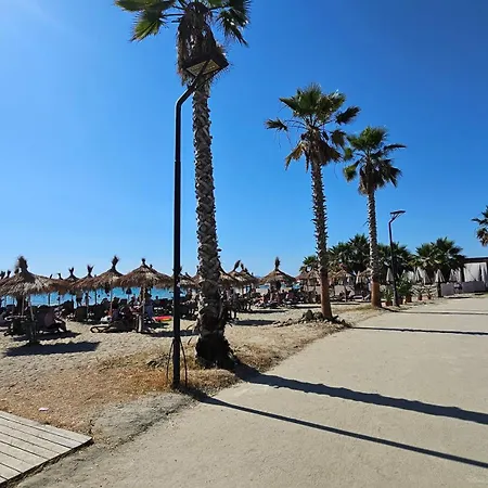 Molla Golem Polisi i Vogel