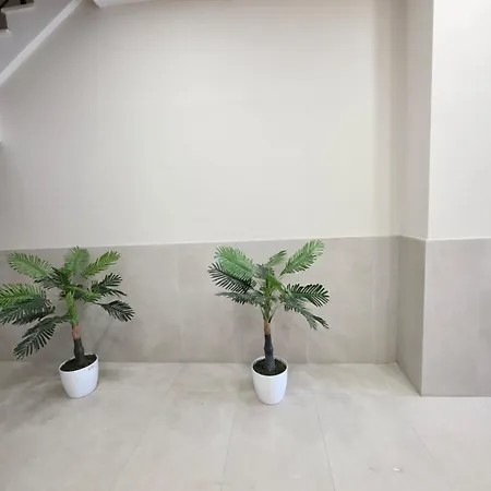 Molla Appartement